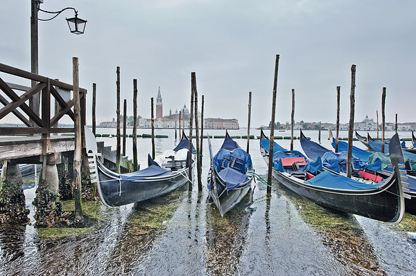 Gondola Parking Venice Picture Board by Jean Gill