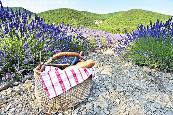 Picnic and French lavender Picture Board by Jean Gill