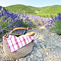 Buy canvas prints of Picnic and French lavender by Jean Gill