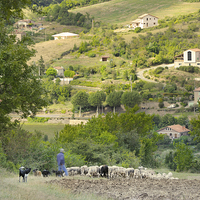 Buy canvas prints of Shepherd above French village by Jean Gill