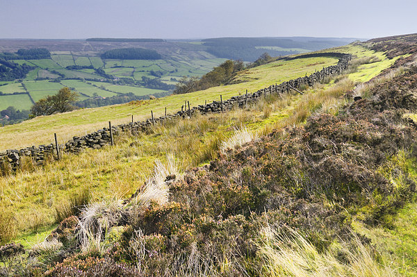 Rosedale North York Moors Picture Board by Jean Gill