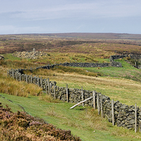 Buy canvas prints of Rosedale North York Moors by Jean Gill