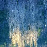 Buy canvas prints of Rippling Reeds by Jean Gill