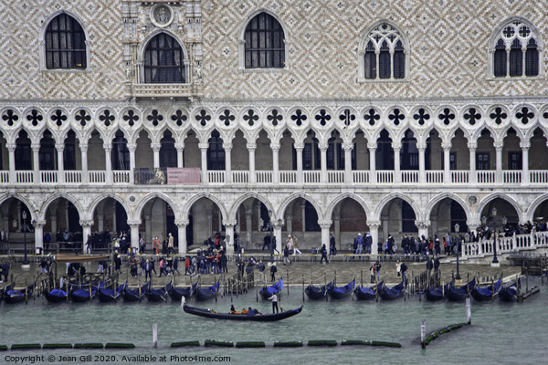 Gondolas moored by the Doge's Palace, Venice Picture Board by Jean Gill