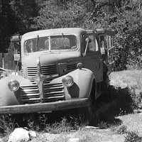 Buy canvas prints of Old Dodge Truck by John Latta