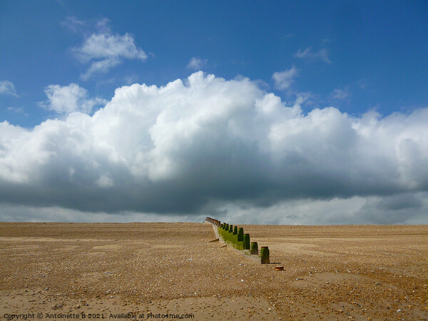 Groynes under a cloud at Fisherman's Beach Hythe  Picture Board by Antoinette B