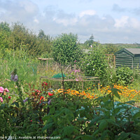 Buy canvas prints of Summer's day at the allotment by Antoinette B