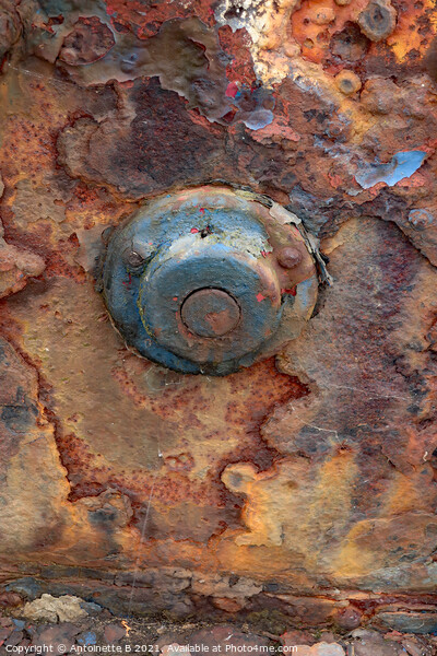 Rusty old thing  Picture Board by Antoinette B