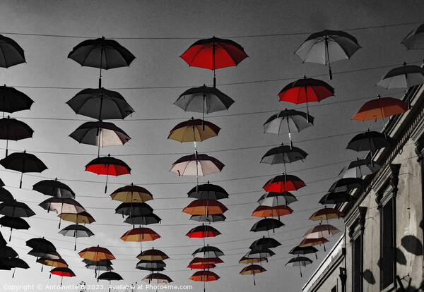 Umbrella Street Hythe Kent  Picture Board by Antoinette B
