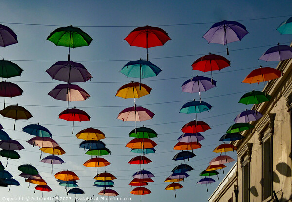 Umbrella Street Hythe Kent  Picture Board by Antoinette B