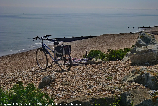 Bicycles on the shingle beach Picture Board by Antoinette B