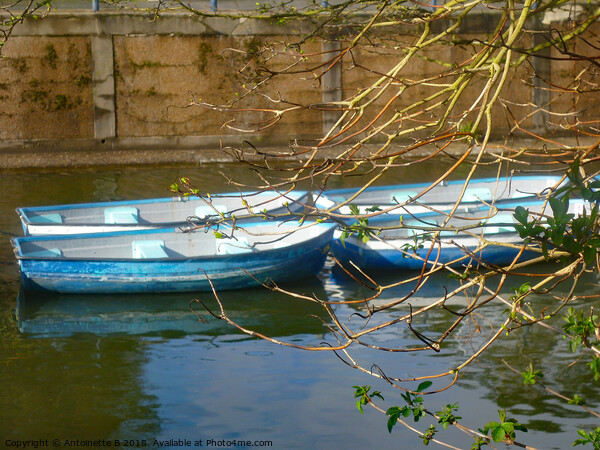 Little blue boats on the canal Picture Board by Antoinette B