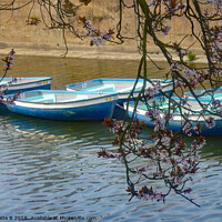 Buy canvas prints of The blue boats and the flowering cherry trees  by Antoinette B