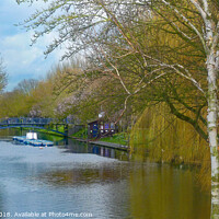 Buy canvas prints of The Royal Military Canal  by Antoinette B