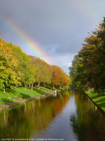 Rainbow over the Canal in Hythe  Picture Board by Antoinette B