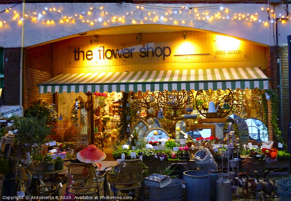 The Flower Shop  Picture Board by Antoinette B