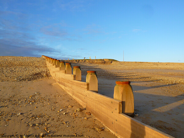 The Groynes at Hythe in Kent  Picture Board by Antoinette B