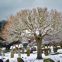 Buy canvas prints of A dusting of snow in the churchyard  by Antoinette B