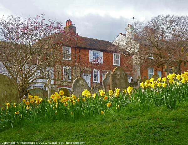 Spring time on Church Hill Hythe Kent  Picture Board by Antoinette B