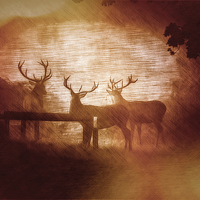Buy canvas prints of Triple Stag by Tony Fishpool