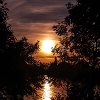 Buy canvas prints of Sunset Through The Trees by Tony Fishpool