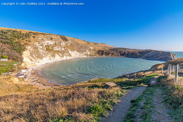 Lulworth Cove in the County of Dorset Picture Board by colin chalkley