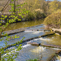 Buy canvas prints of River Stour Weir at Fiddleford Mill by colin chalkley