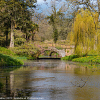 Buy canvas prints of Minterne House Gardens in Dorset by colin chalkley