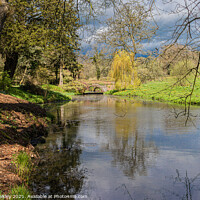 Buy canvas prints of Minterne Gardens in Dorset by colin chalkley