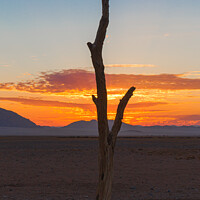 Buy canvas prints of Namib Desert at Sunset by colin chalkley