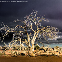 Buy canvas prints of Namibia - Surreal Sossusvlie at Dawn by colin chalkley