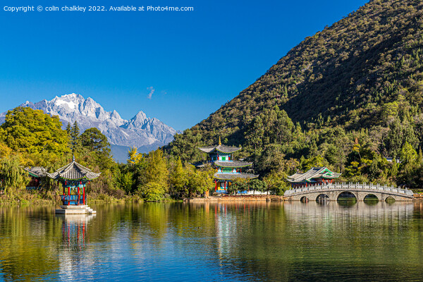 Black Dragon Lake - Lijiang, North West China Picture Board by colin chalkley