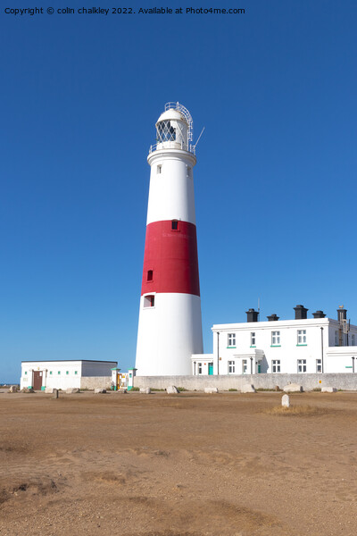 Portland Bill Lighthouse, Dorset Picture Board by colin chalkley