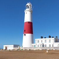 Buy canvas prints of Portland Bill Lighthouse, Dorset by colin chalkley