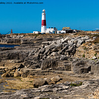 Buy canvas prints of Portland Bill Lighthouse, Dorset by colin chalkley