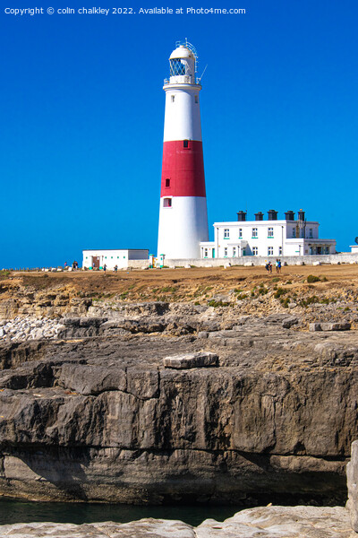 Portland Bill Lighthouse, Dorset, England Picture Board by colin chalkley