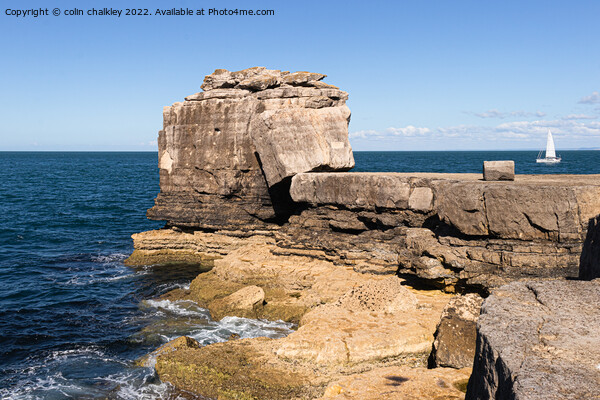 Pulpit Rock on the Isle of Portland Picture Board by colin chalkley