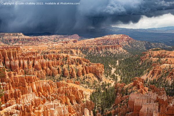 Storm Clouds in Bryce Canyon Picture Board by colin chalkley