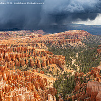 Buy canvas prints of Storm Clouds in Bryce Canyon by colin chalkley