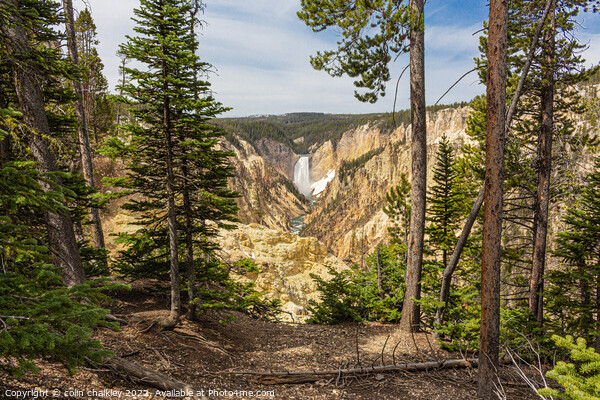 Yellowstone National Park - Lower Falls Picture Board by colin chalkley