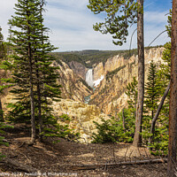 Buy canvas prints of Yellowstone National Park - Lower Falls by colin chalkley