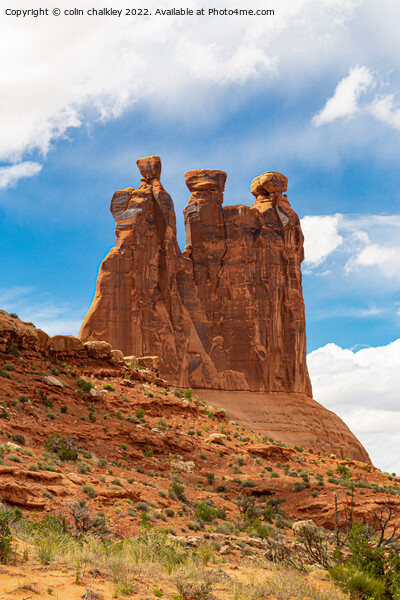 The Three Gossips rock structures - Arches NP Picture Board by colin chalkley