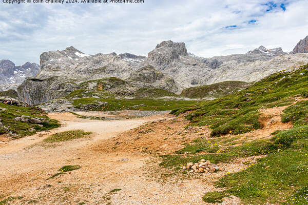 Picos De Europa in Northern Spain Picture Board by colin chalkley