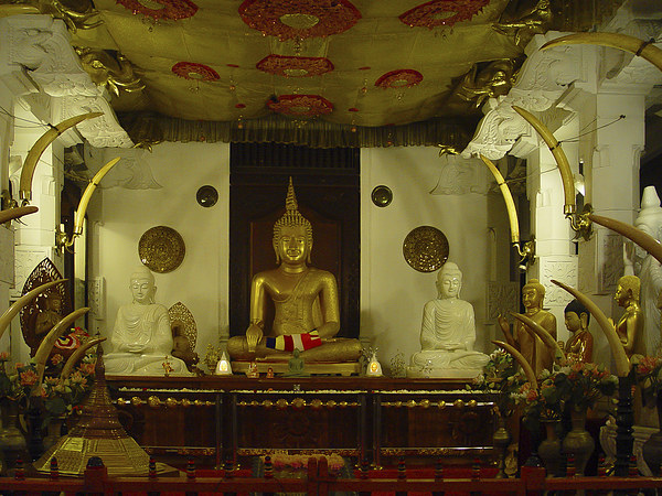 Temple of the Tooth Relic Picture Board by colin chalkley