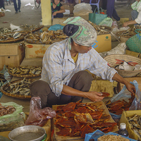 Buy canvas prints of Vietnamese Fish Market by colin chalkley