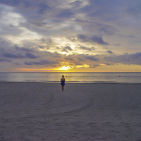 Buy canvas prints of Contemplation at sunset in Borneo by colin chalkley