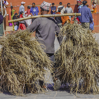 Buy canvas prints of Carrying hay in Kathmandu by colin chalkley