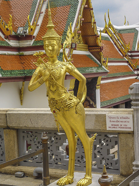 Grand Palace Golden Kinnari Statue Picture Board by colin chalkley