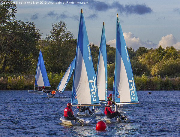 Dinghy Sailing at Dinton Pastures Picture Board by colin chalkley