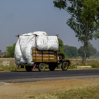 Buy canvas prints of Rajasthan Grain Transportation by colin chalkley